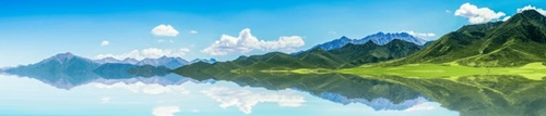 spot_img